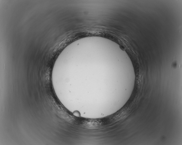 X0000116140466200912141137