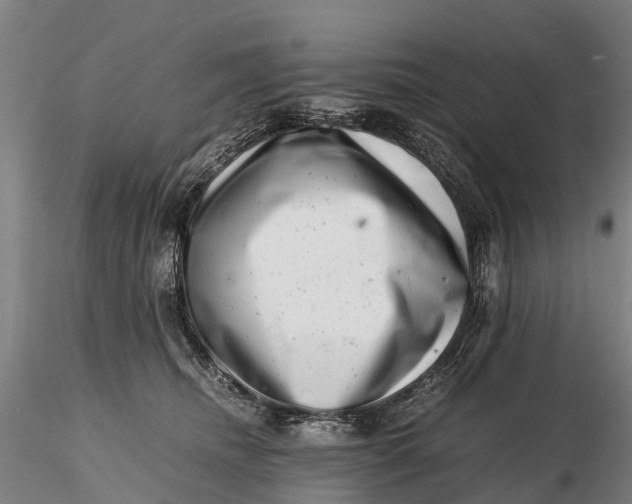 X0000116140468200912141137