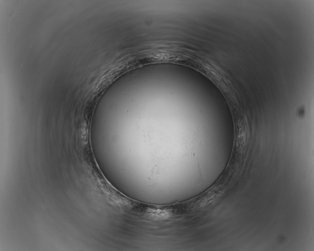 X0000116140469200912141137