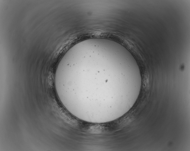 X0000116140470200912141137