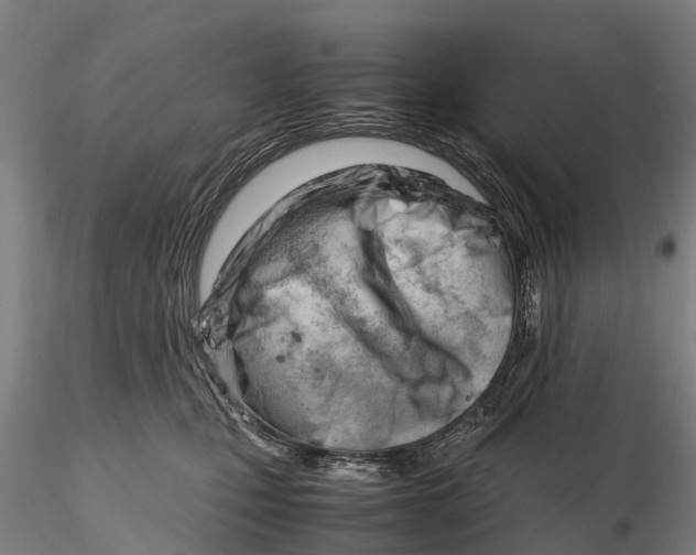 X0000116140471200912141137