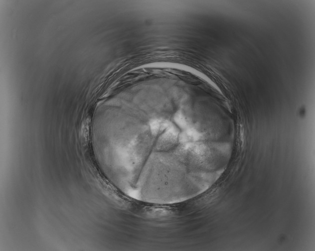 X0000116140475200912141137