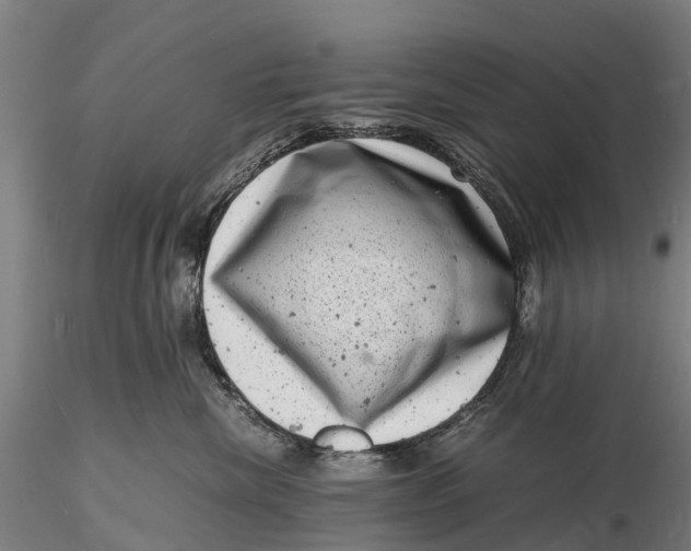 X0000116140476200912141137