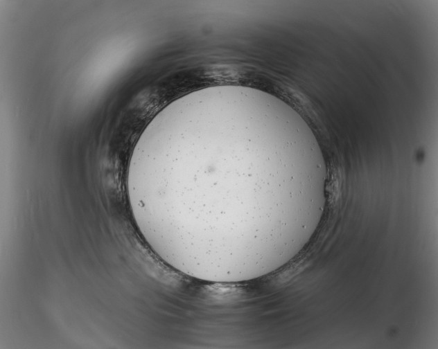 X0000116140477200912141137