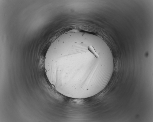 X0000116140478200912141137