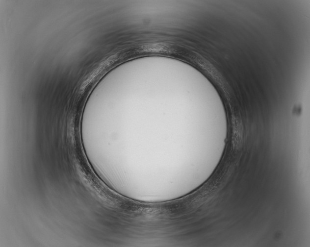 X0000116140482200912141136