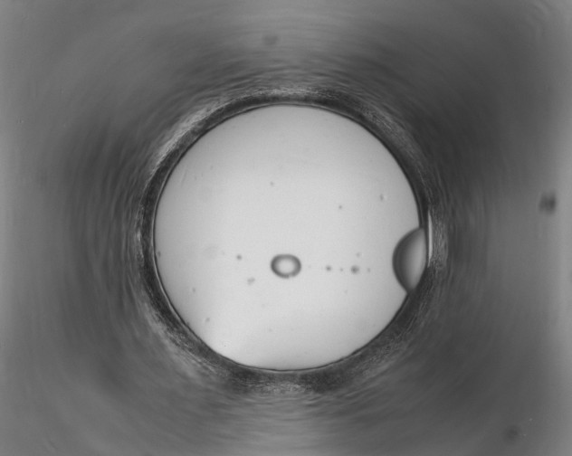 X0000116140483200912141136