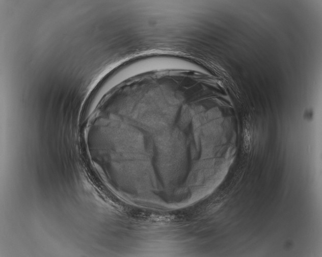 X0000116140484200912141136