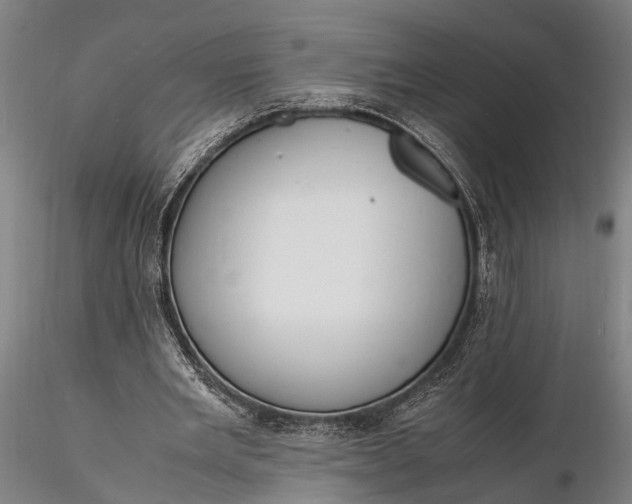 X0000116140485200912141136