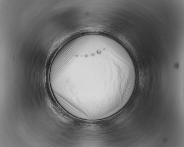 X0000116140486200912141136