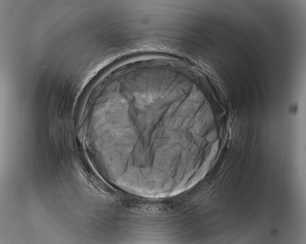 X0000116140488200912141136