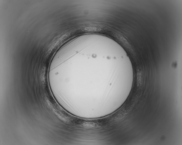 X0000116140490200912141136