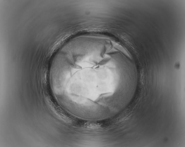 X0000116140491200912141136