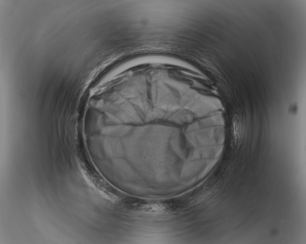 X0000116140492200912141136