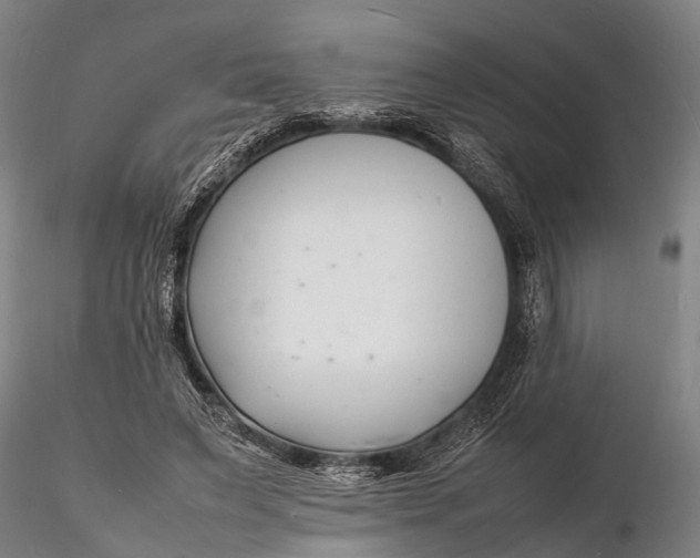 X0000116140495200912141136