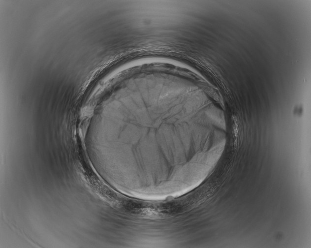 X0000116140496200912141136