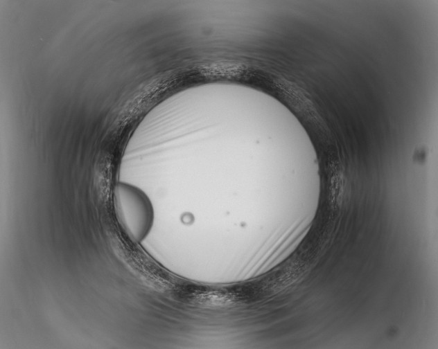 X0000116140498200912141136