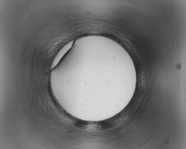 X0000116140505200912141136