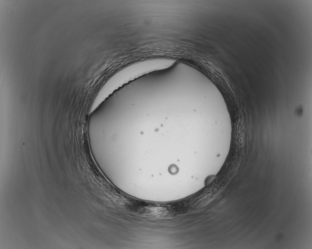 X0000116140509200912141136