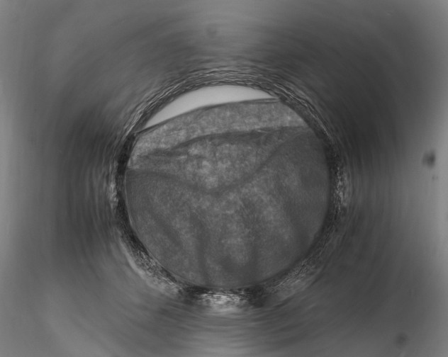 X0000116140512200912141136