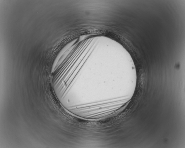 X0000116140513200912141136