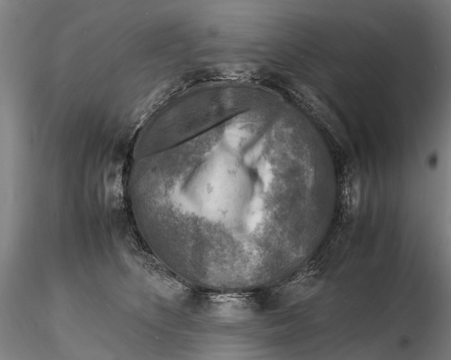 X0000116140516200912141136