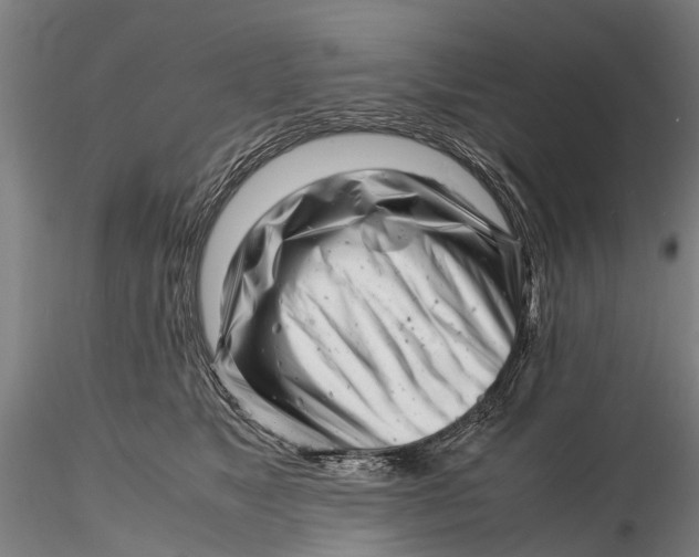 X0000116140517200912141136