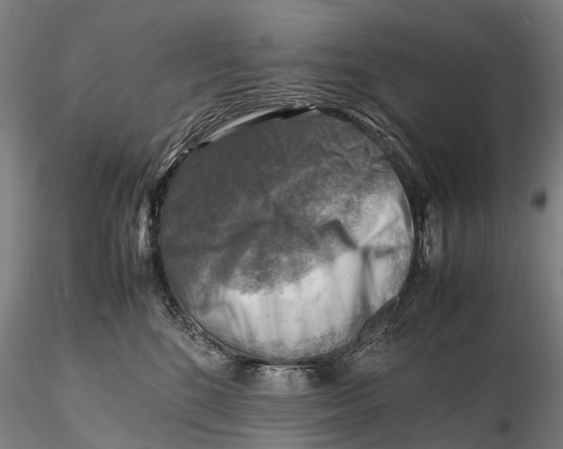 X0000116140520200912141136