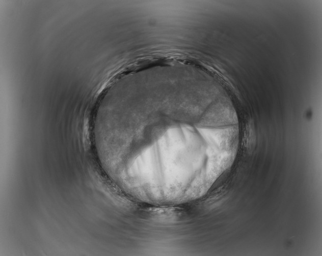 X0000116140524200912141136