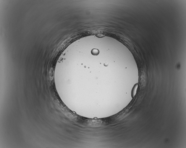 X0000116140525200912141136