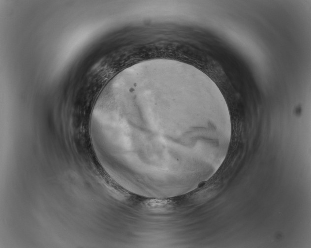 X0000116140526200912141136