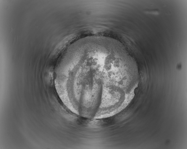 X0000116140527200912141136