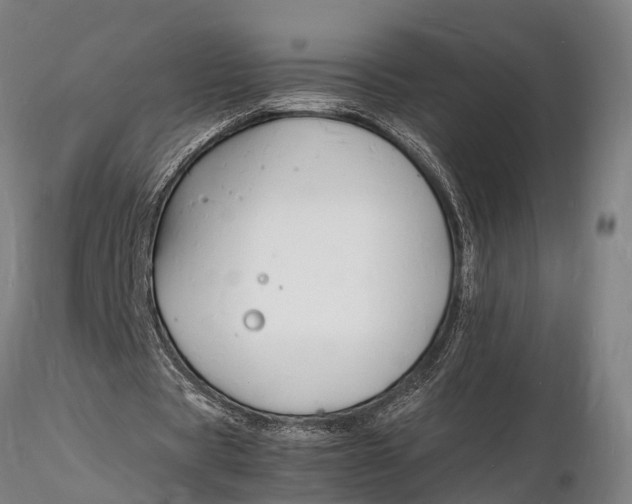 X0000116140529200912141135