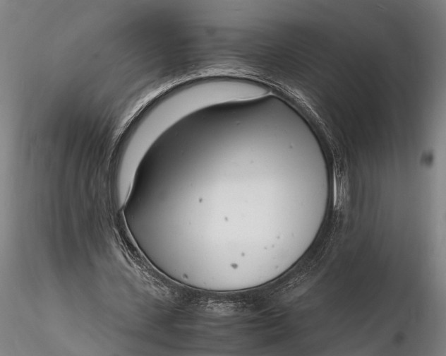 X0000116140531200912141135