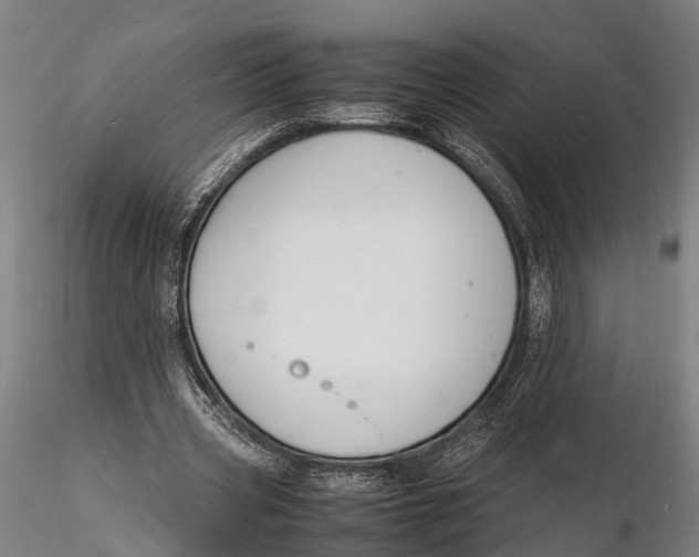 X0000116140533200912141135