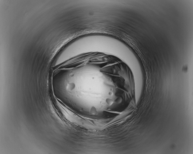 X0000116140534200912141135