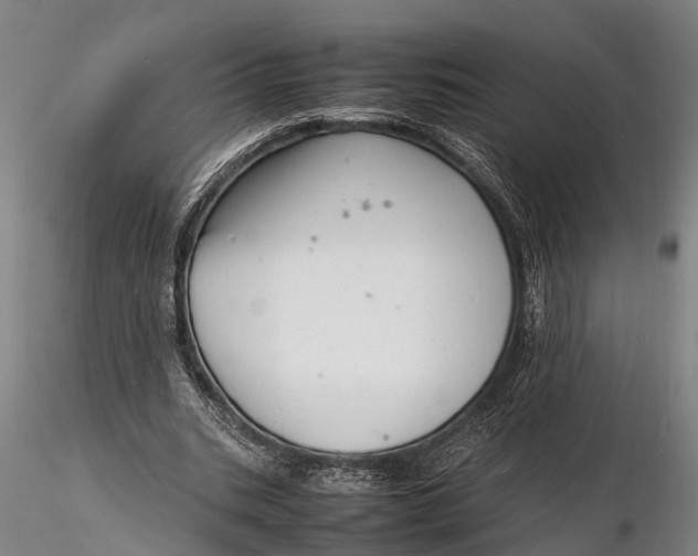 X0000116140535200912141135