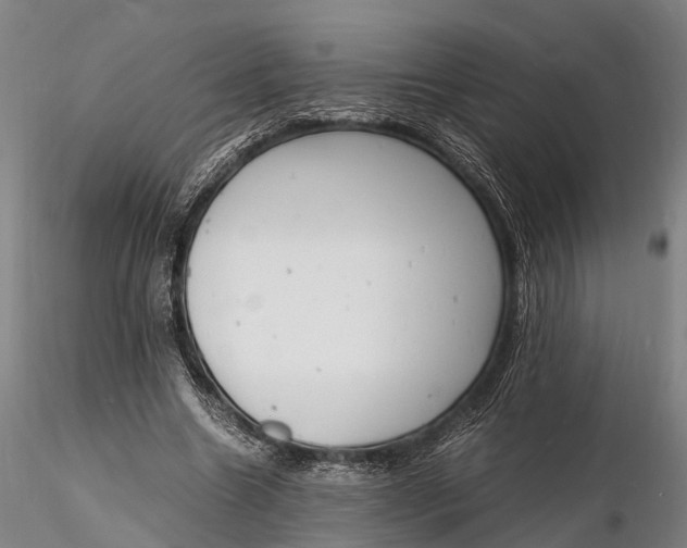 X0000116140538200912141135