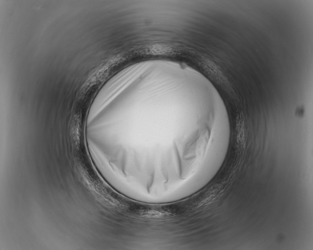 X0000116140542200912141135