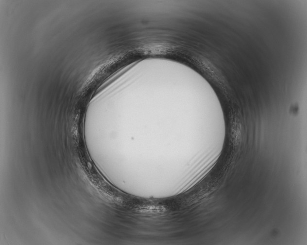 X0000116140543200912141135