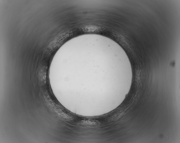 X0000116140545200912141135