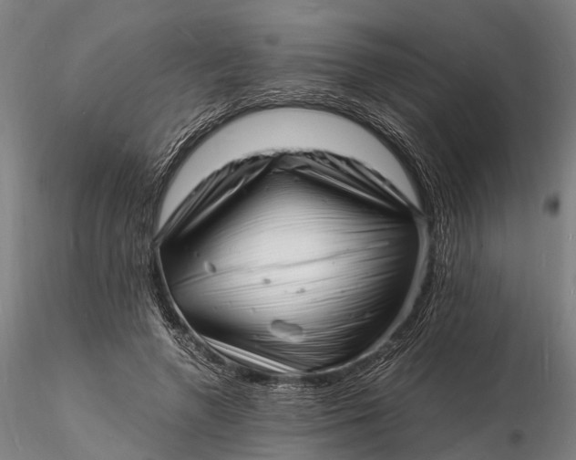 X0000116140546200912141135