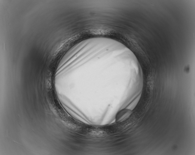 X0000116140547200912141135