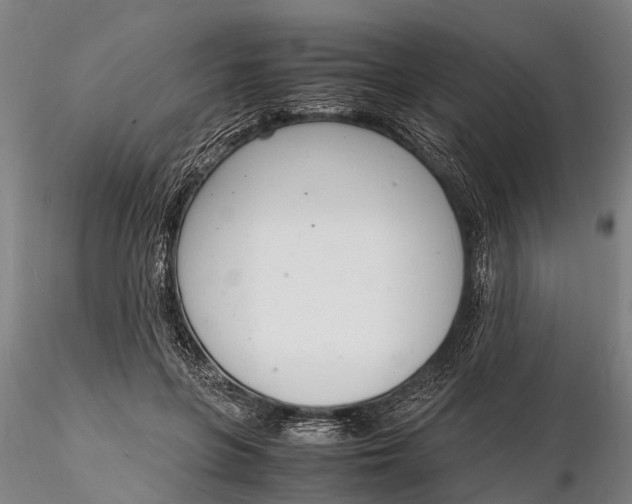 X0000116140551200912141135