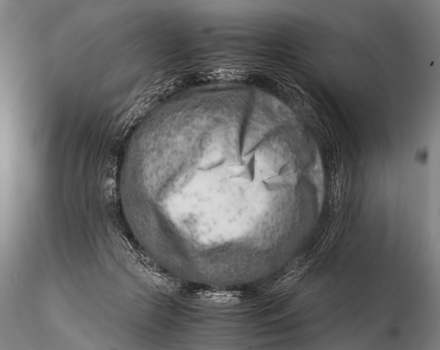 X0000116140553200912141135