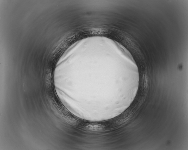 X0000116140557200912141135