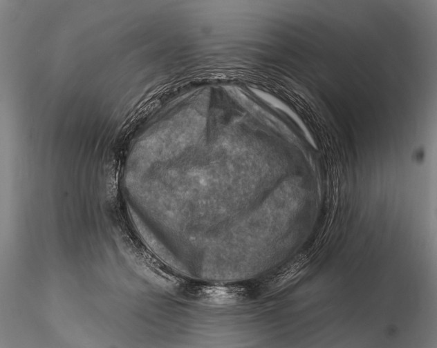 X0000116140558200912141135