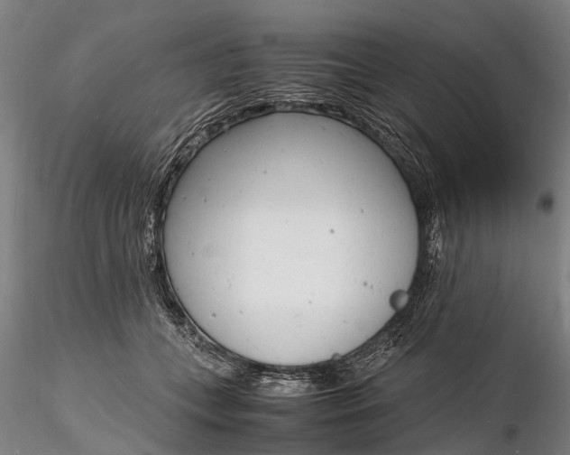 X0000116140559200912141136