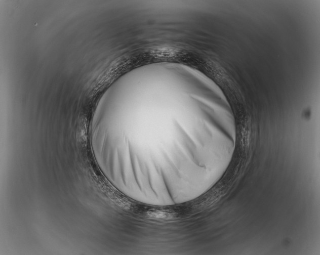 X0000116140561200912141136