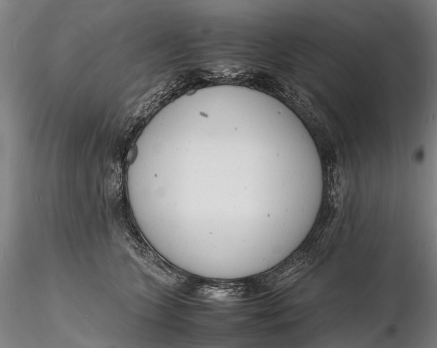 X0000116140563200912141136